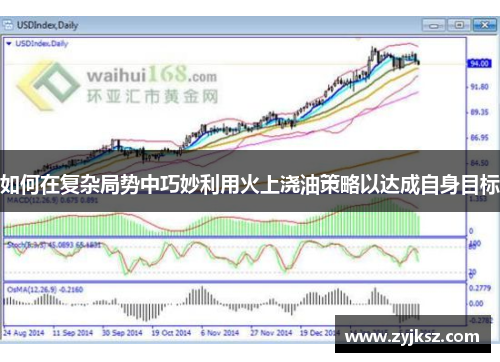 如何在复杂局势中巧妙利用火上浇油策略以达成自身目标